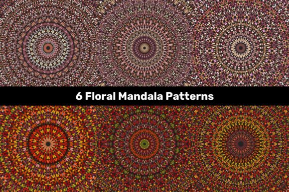 Download 6 Multicolored Floral Mandala Patterns - Floral Collection