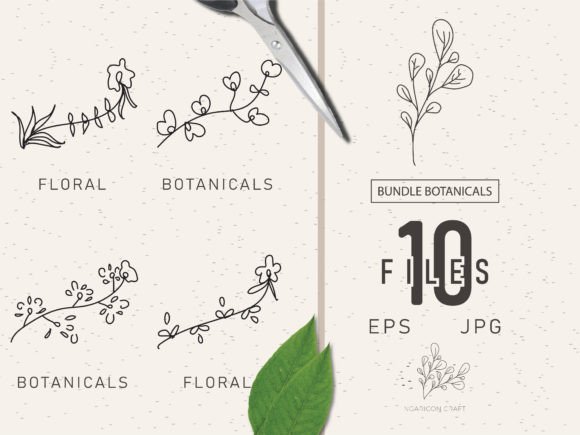 Download Floral Element Bundle 50 - Floral Collection