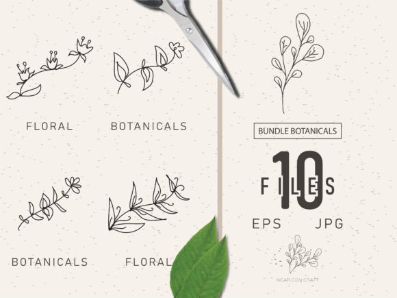 Download Floral Element Bundle 48 - Floral Collection