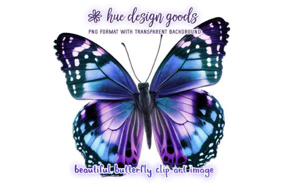 Download Beautiful Blue and Purple Butterfly - Beautiful Collection