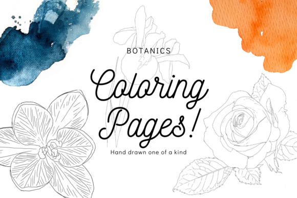 Download Botanic Florals Line Art Coloring Pages - Floral Collection